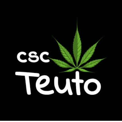 CSC Teuto e.V.