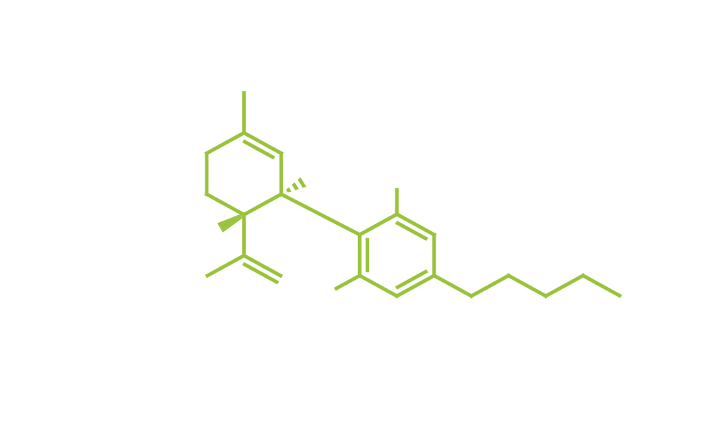 Reefer's Cannabis Club Siegen e.V. Logo
